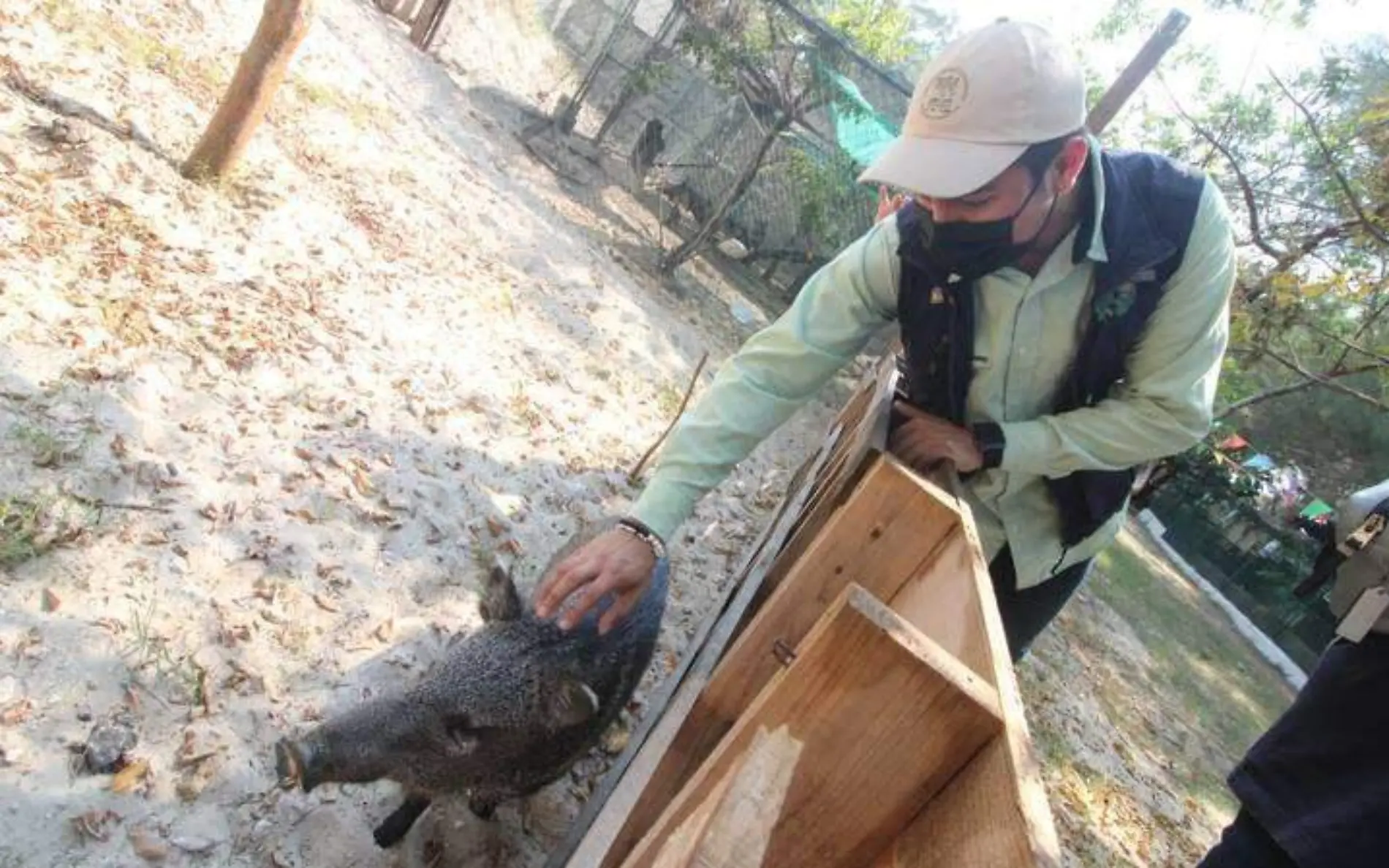 Recorridos guiados por Cobea, santuario de rescate animal en Ciudad Madero, Tamaulipas (4)